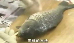 Cách mổ cá chưa bao giờ đơn giản đến vậy